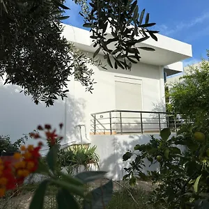 Anxhi Apartamento
